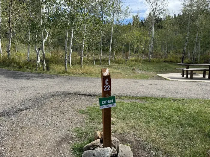C22