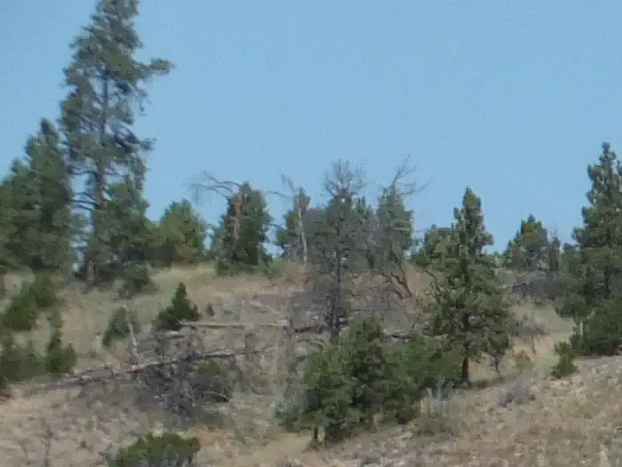 Lewis and Clark Group Use Campsites "A"
