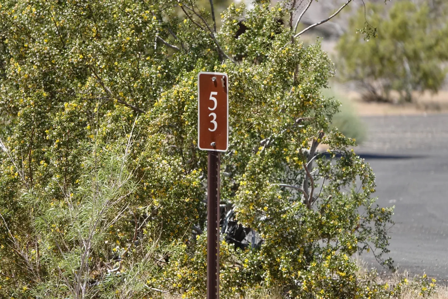 Site 53