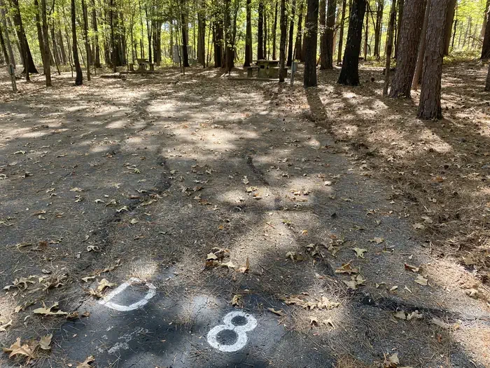 D08