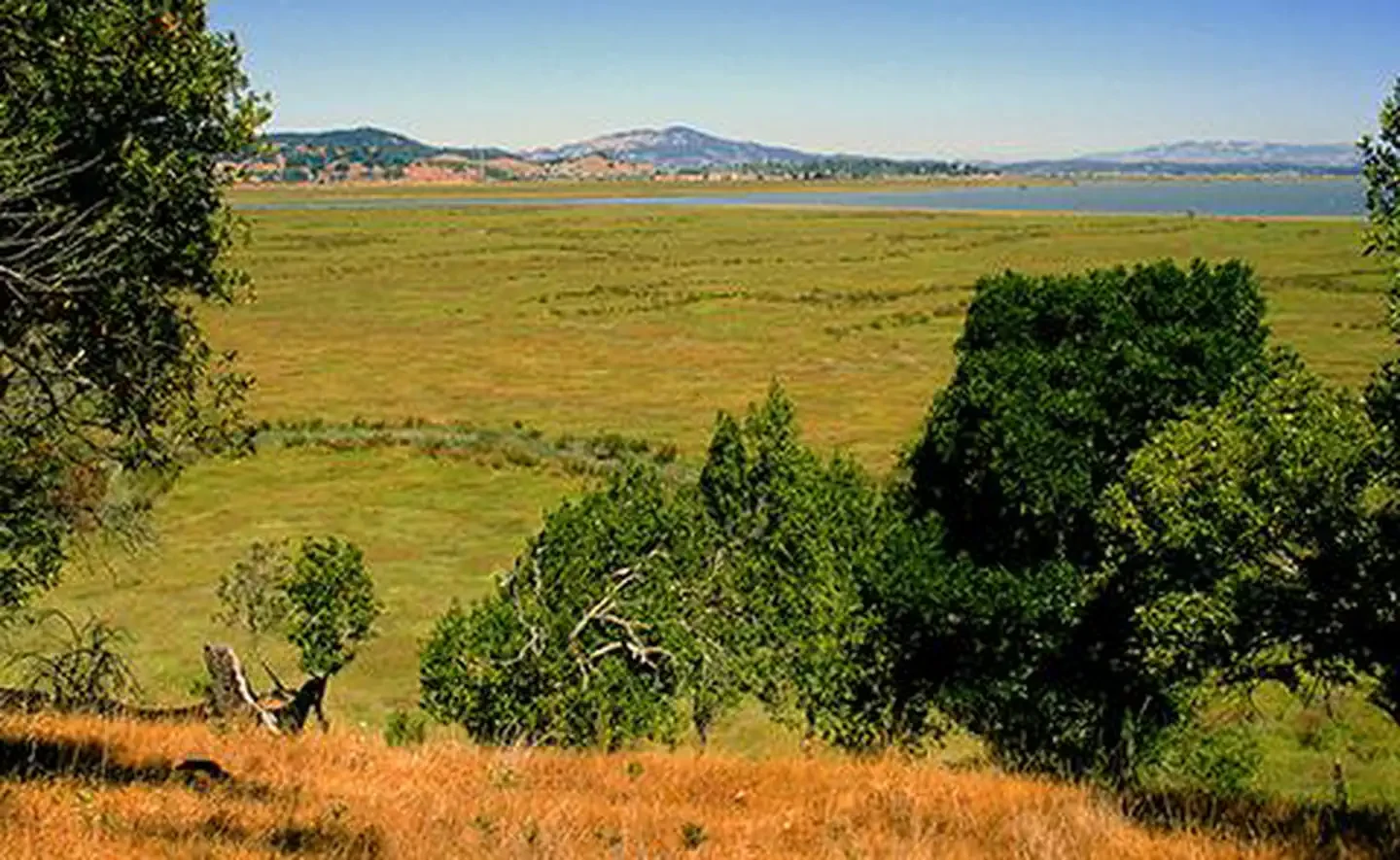 San Francisco Bay National Estuarine Research Reserve