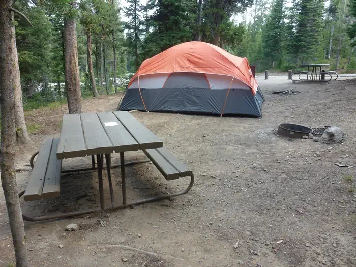 Lewis Lake site #20