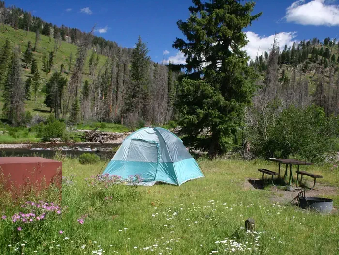 Slough Creek site #5