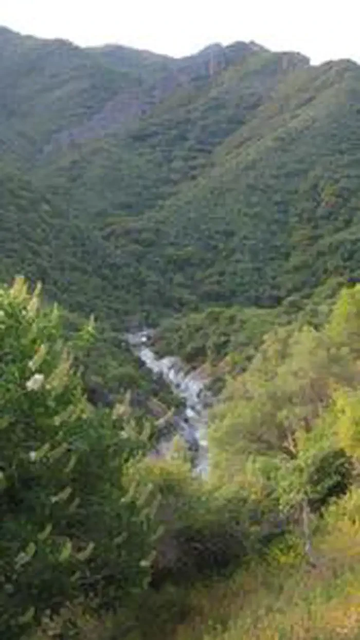 Buckeye Flat Campground