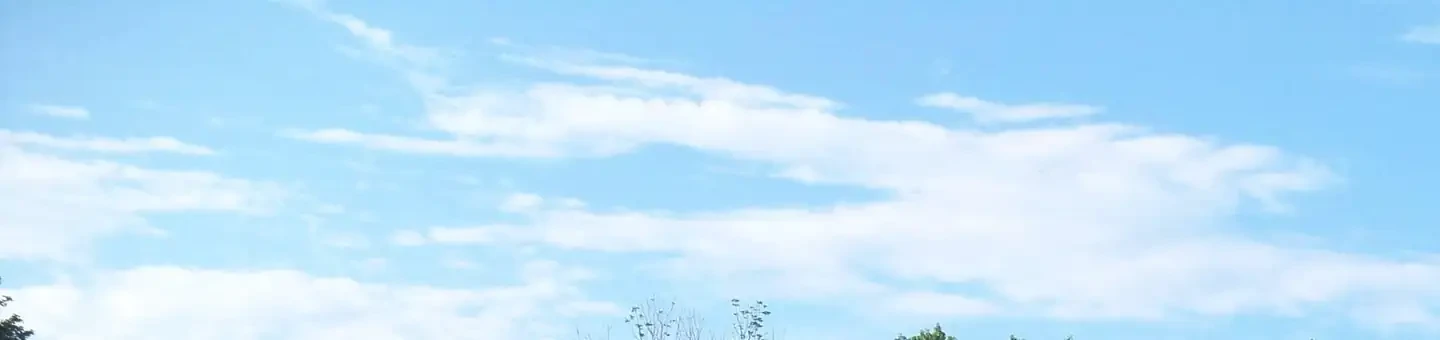 M05