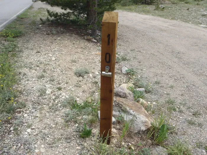 010