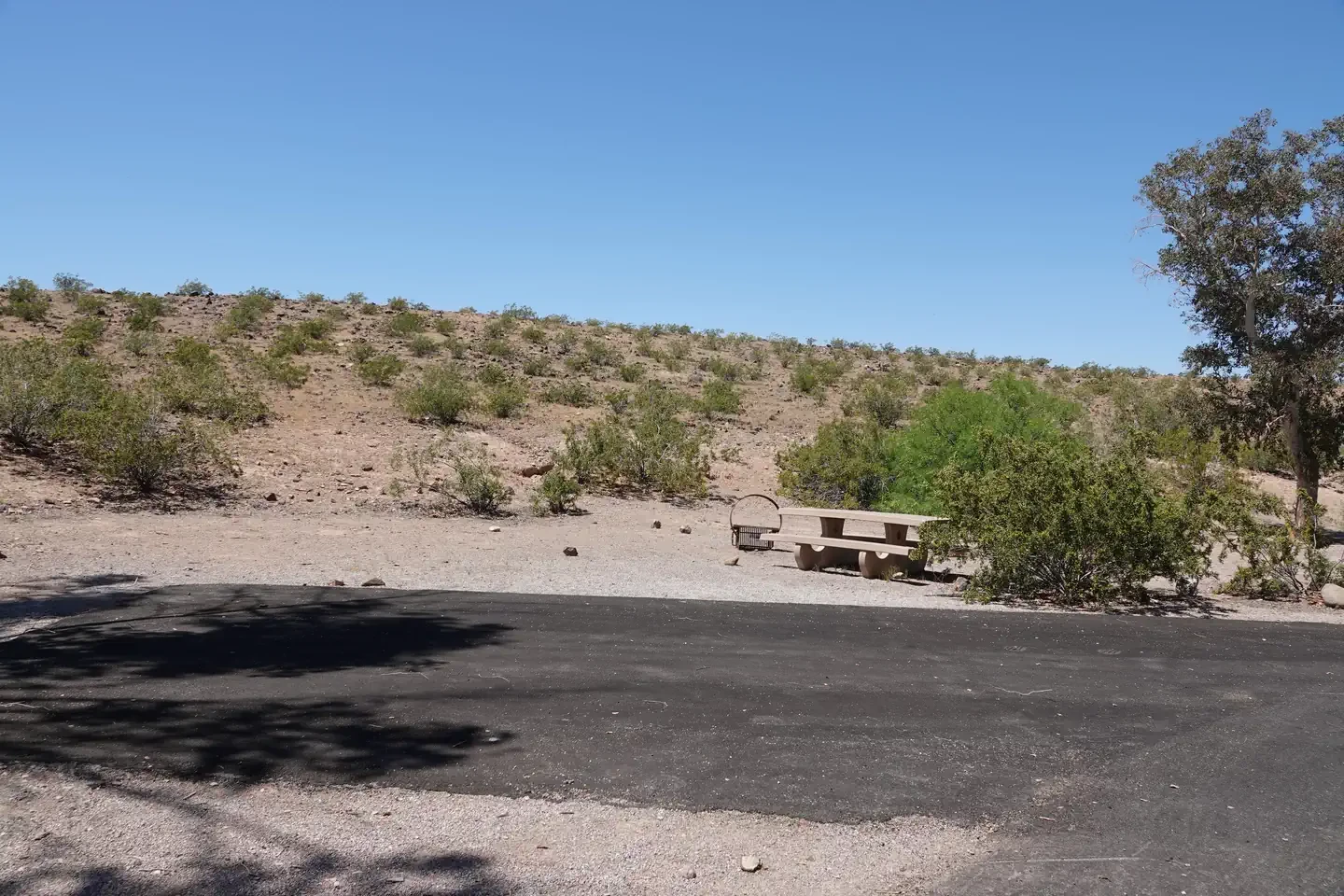 Site 84