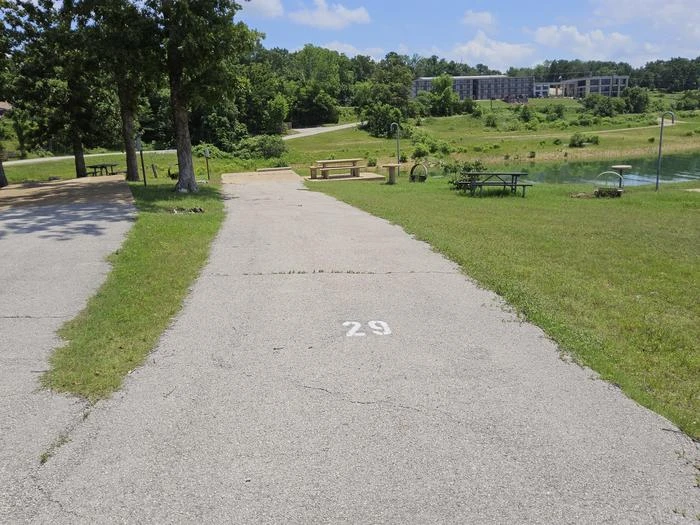 29