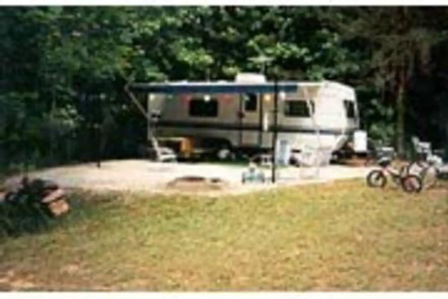 Zilpo - Daniel Boone Nat. For.