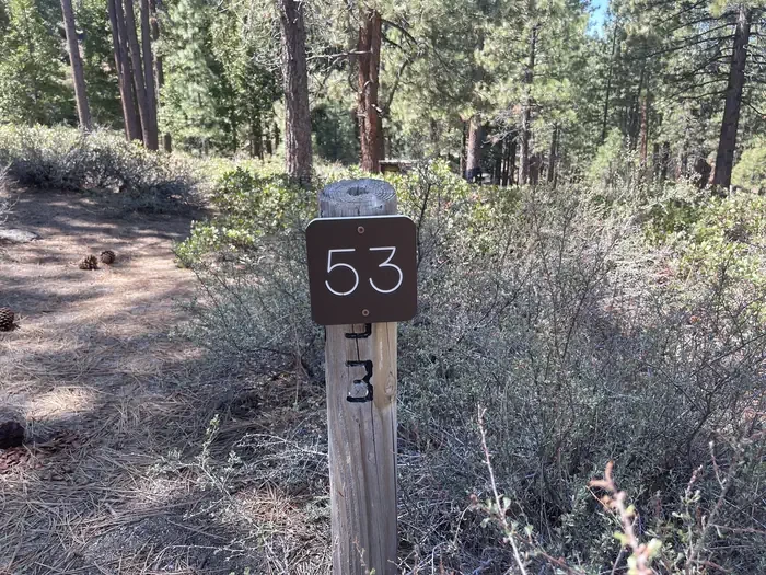 53