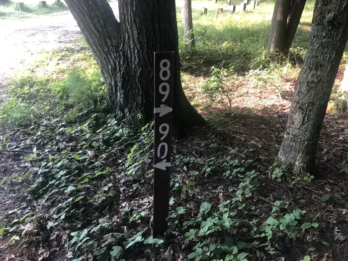 089D