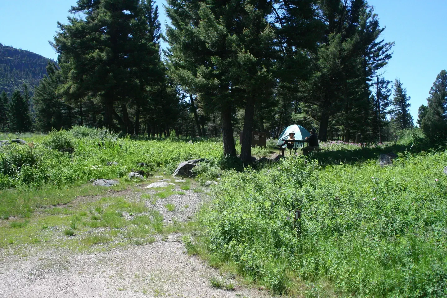 Slough Creek Campground
