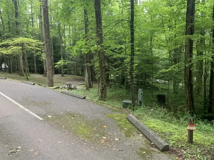 B12