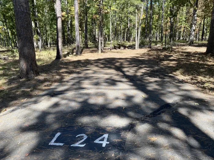 L24