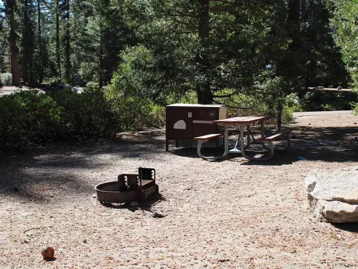 Site: 26