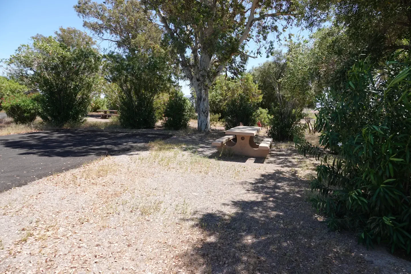 Site 35