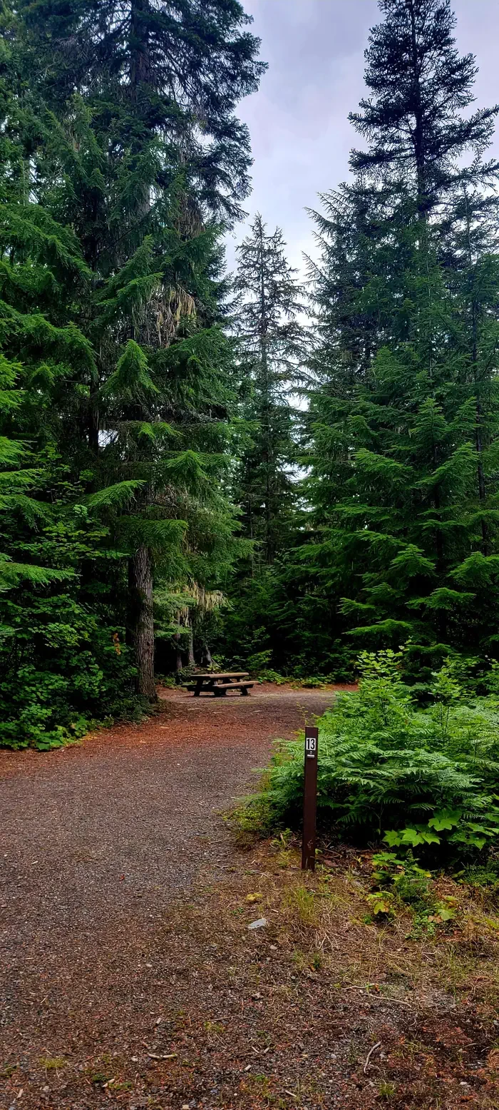 Blackpine CR Horsecamp