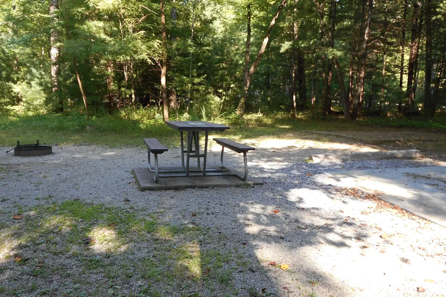 B39