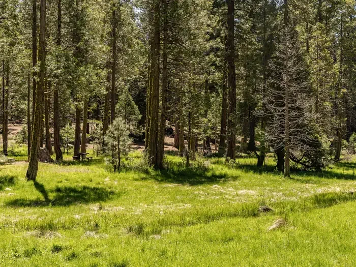 Meadowview Campground