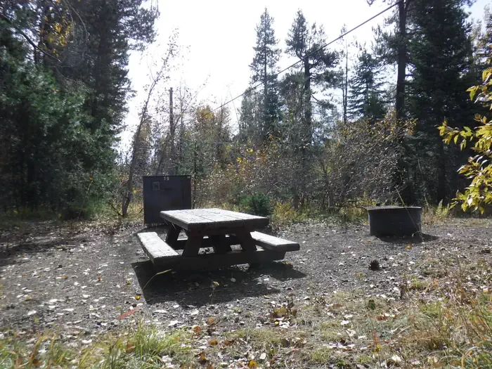 019