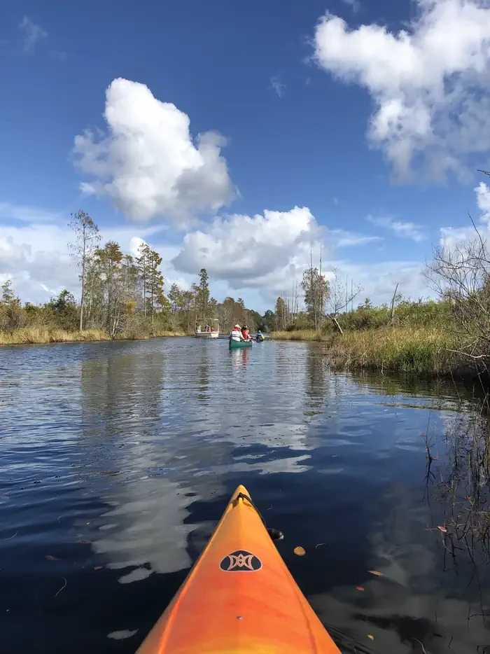 Okefenokee National Wildlife Refuge Overnight Camping Permit
