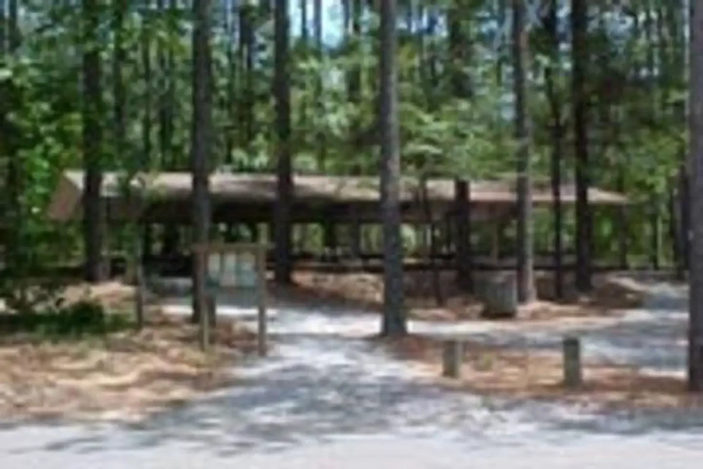 Twin Lakes Day Use Area