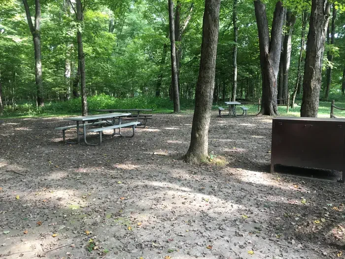 Site #4