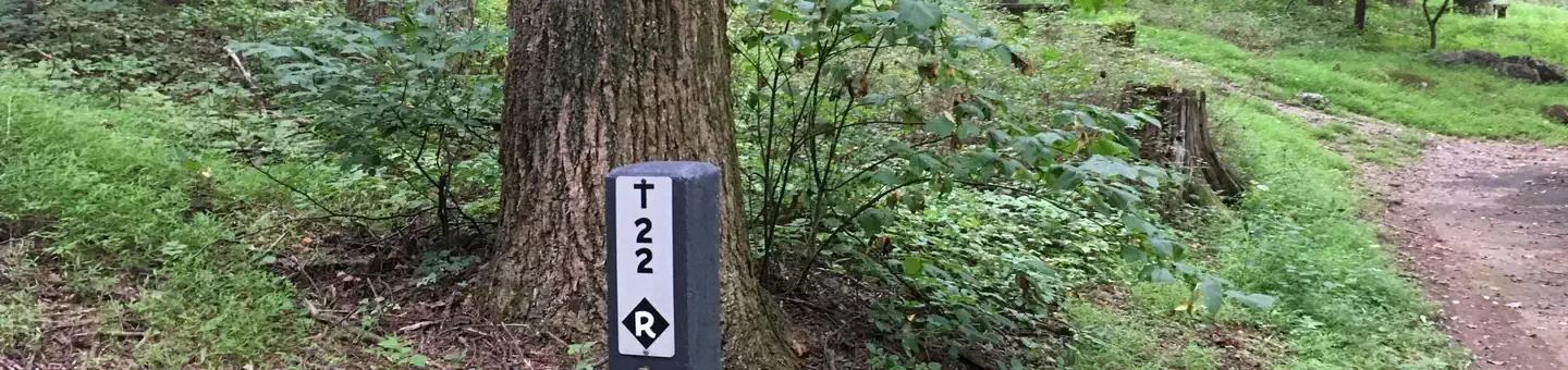 T22