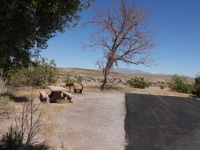 Site 56