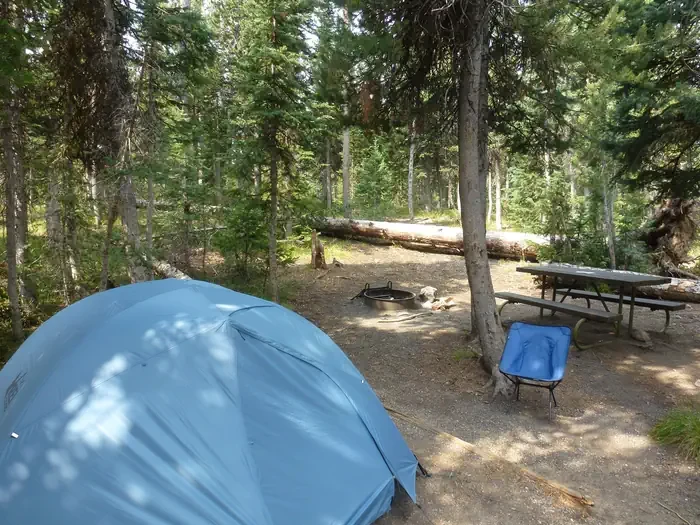 Lewis Lake site #39