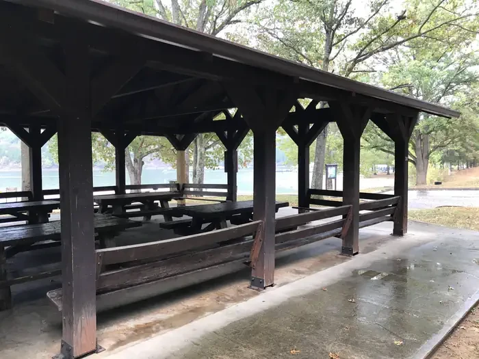 L1-Large Picnic Shelter