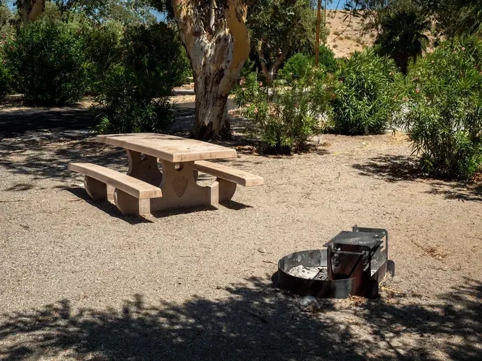 Site 49