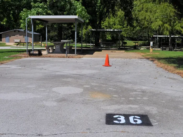 36
