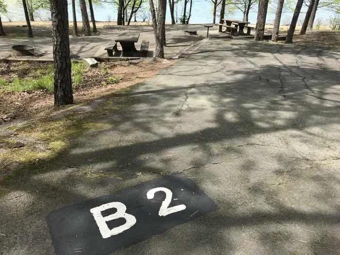 B02
