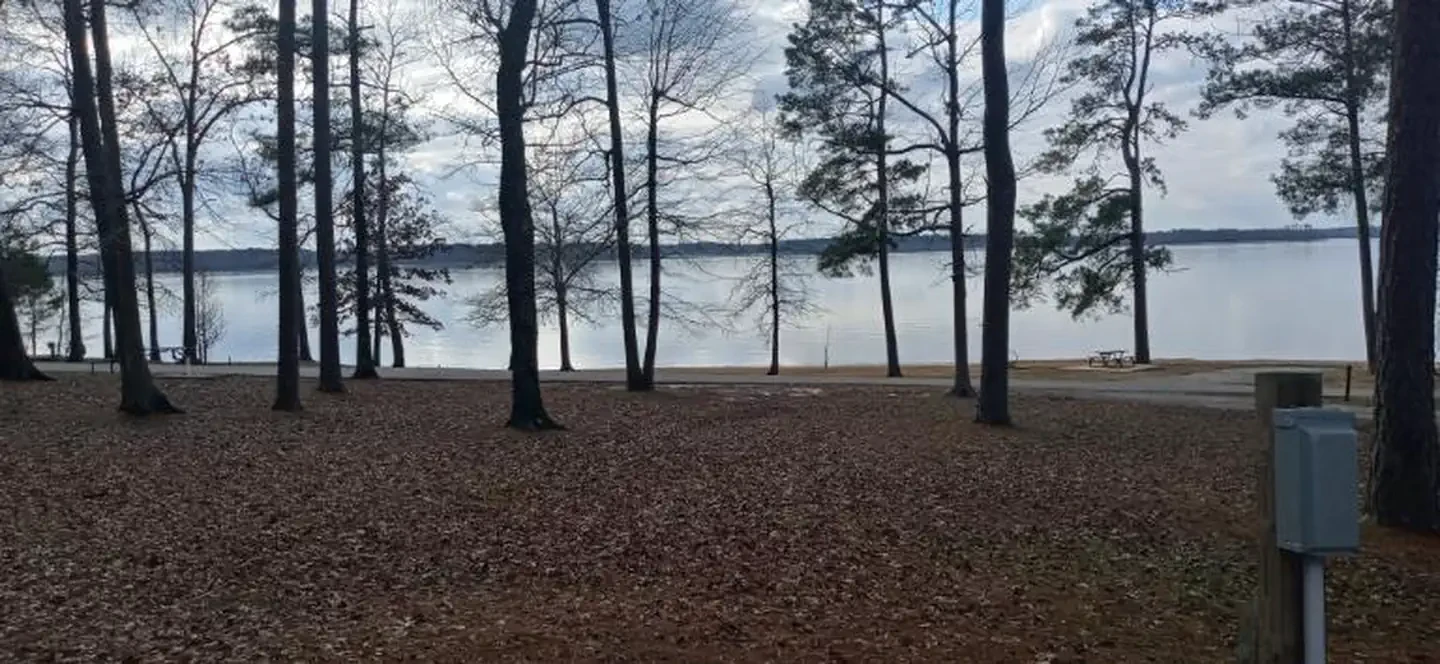 59