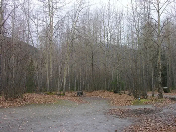 Dyea Campground