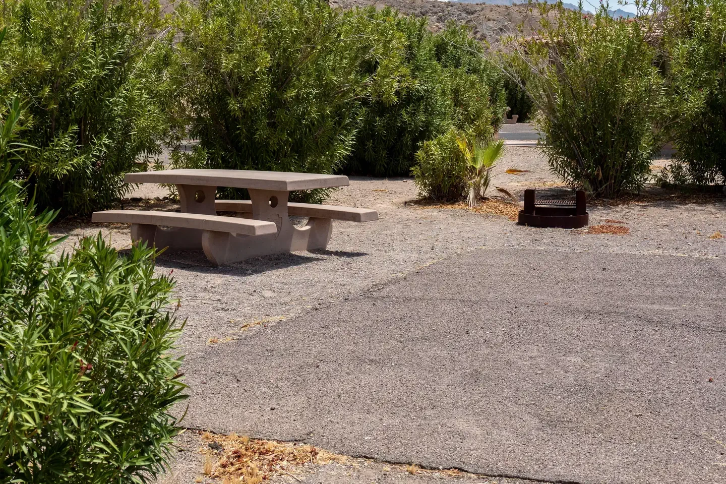 Callville Bay Campground