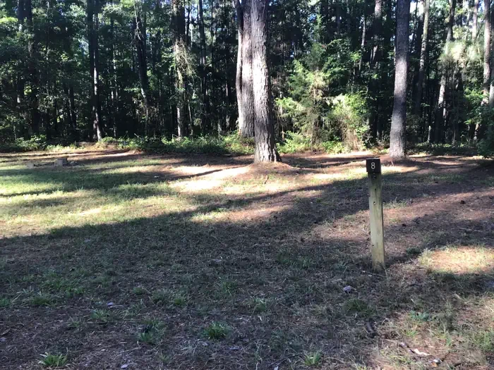 Site 08