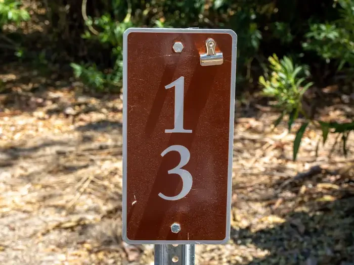 Site 13