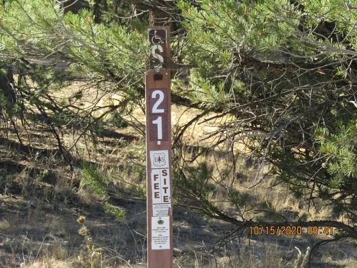 21