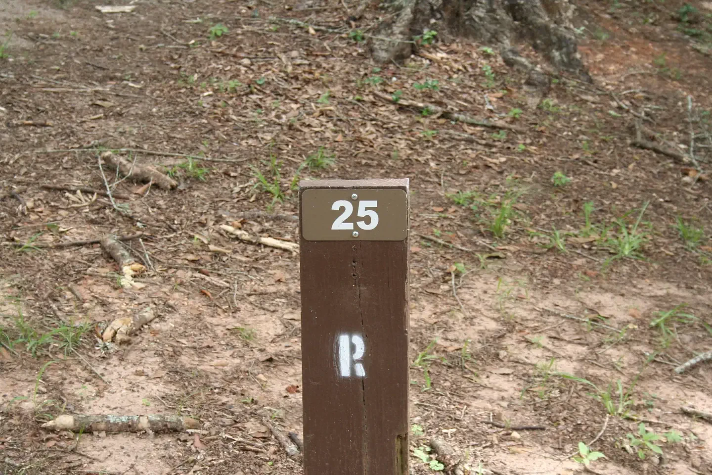 025
