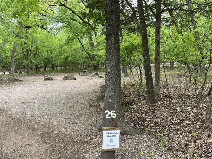 26