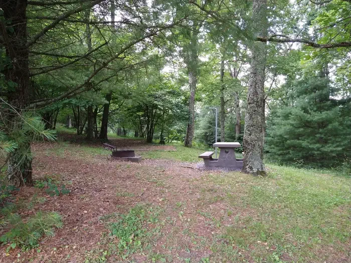 B36
