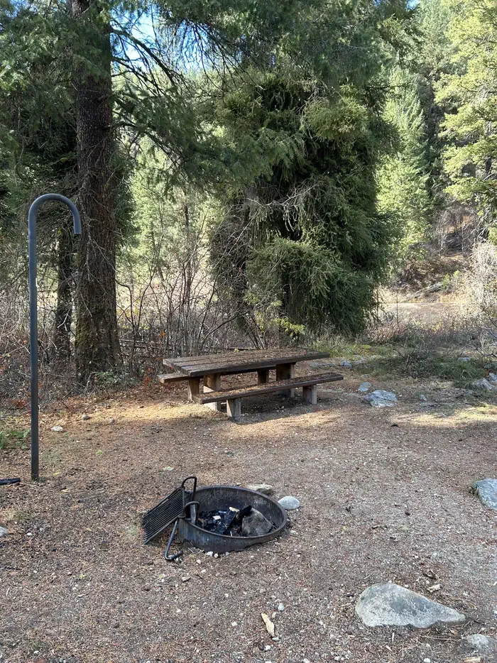 Hayfork Group Cg