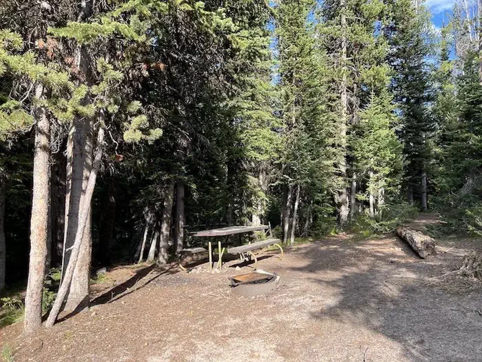 Lewis Lake site #38