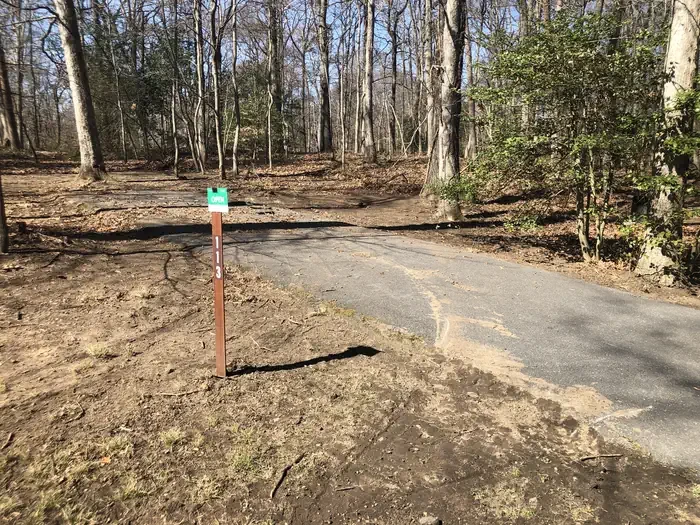 D113