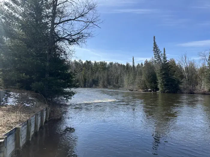 Au Sable Loop Campground