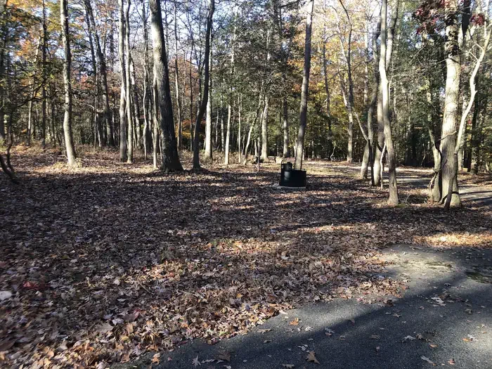 A16