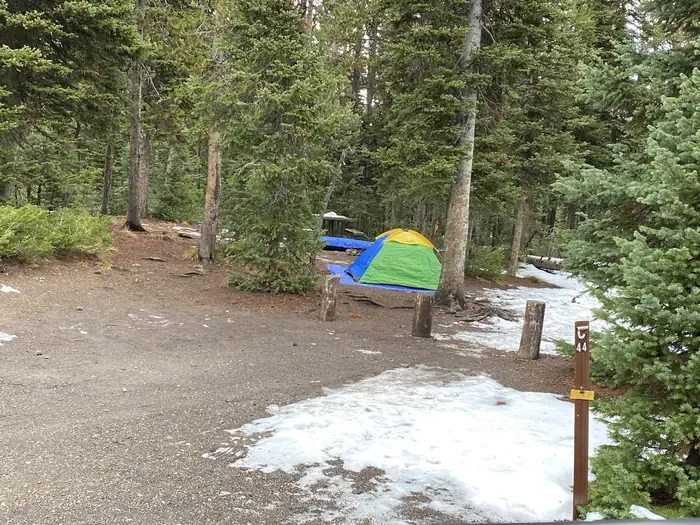 Lewis Lake site #44