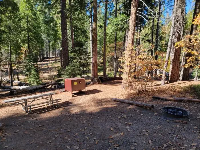 007